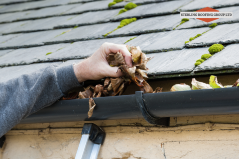 A Guide to Following a Good Roof Maintenance Plan