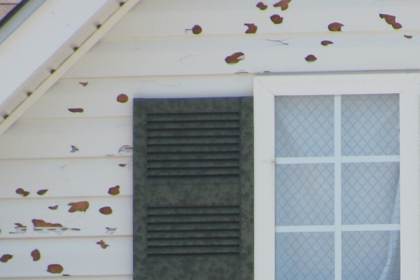 wood plank damaged